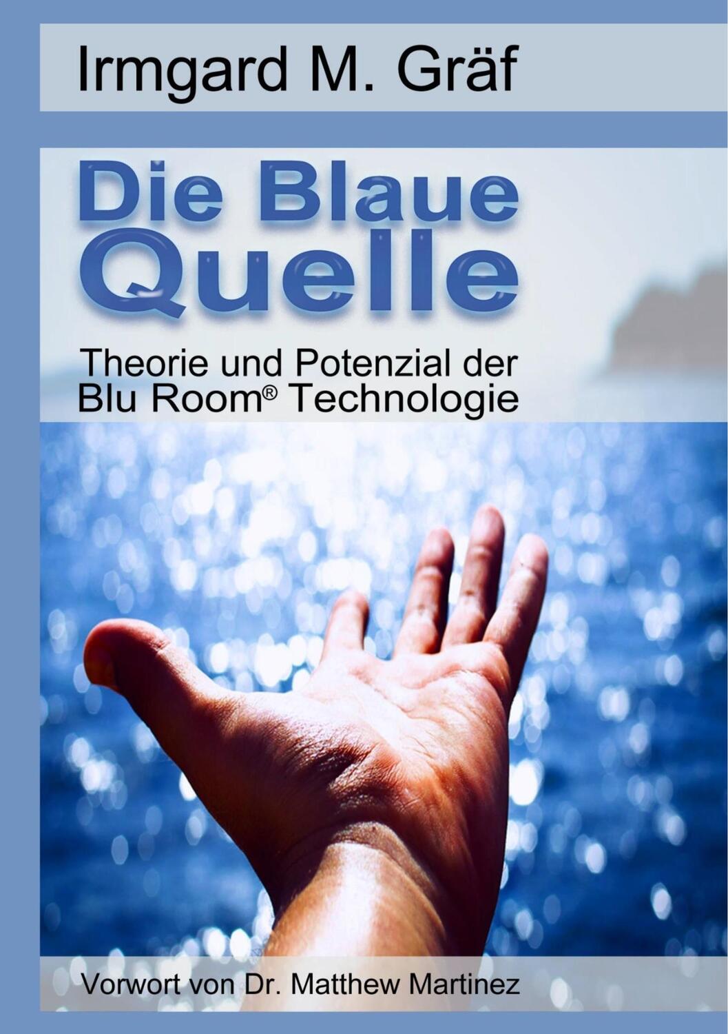 Cover: 9783752848137 | Die Blaue Quelle | Theorie und Potenzial der Blu Room Technologie