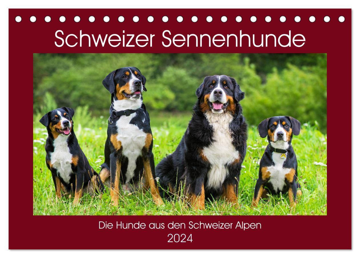 Cover: 9783383100383 | Schweizer Sennenhunde - die Hunde aus den Schweizer Alpen...