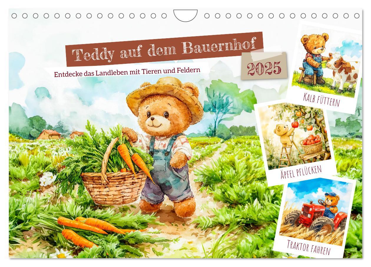 Cover: 9783457190449 | Teddy auf dem Bauernhof - Entdecke das Landleben mit Tieren und...