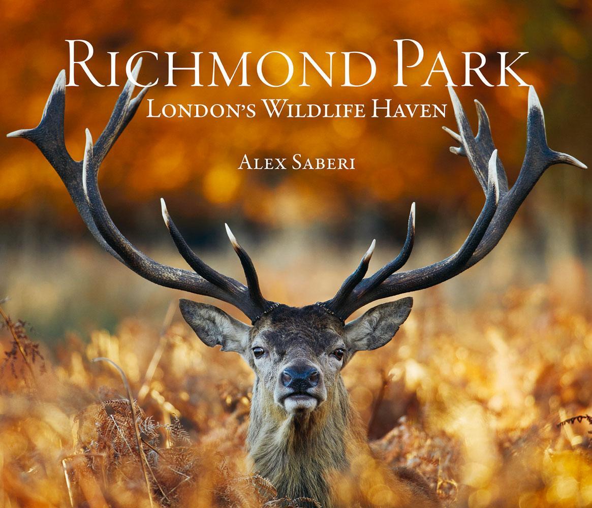 Cover: 9781788840903 | Richmond Park | London's Wildlife Haven | Buch | Gebunden | Englisch