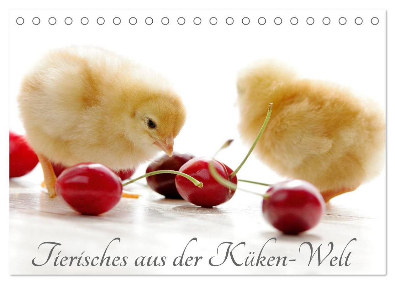 Cover: 9783383372032 | Tierisches aus der Küken-Welt (Tischkalender 2024 DIN A5 quer),...