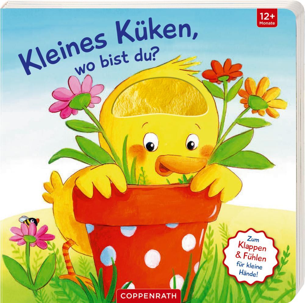 Cover: 9783649639176 | Mein erstes Gucklock-Fühlbuch: Kleines Küken, wo bist du? | Buch