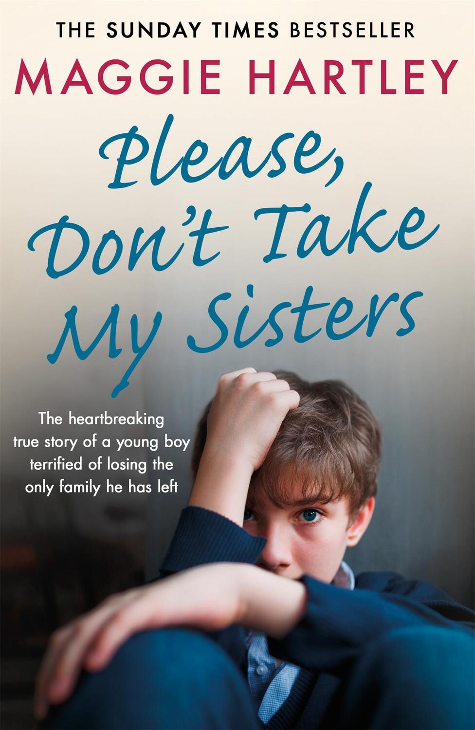 Cover: 9781409188995 | Please Don't Take My Sisters | Maggie Hartley | Taschenbuch | Englisch