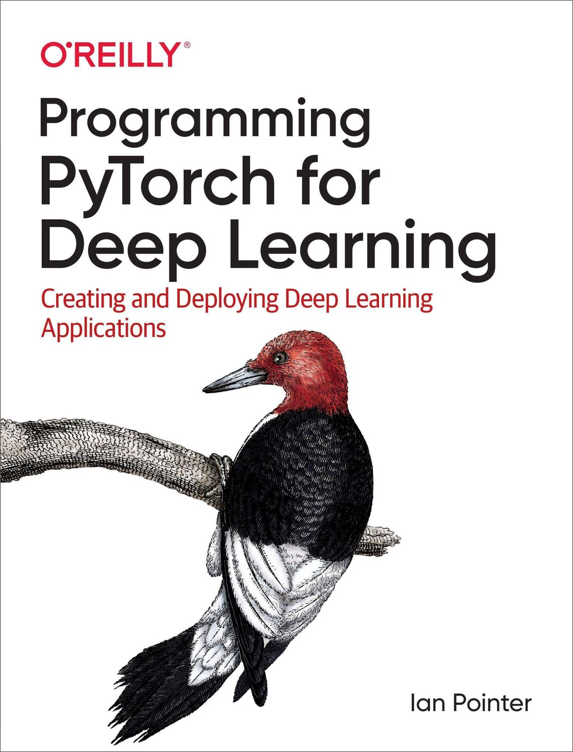 Cover: 9781492045359 | Programming Pytorch for Deep Learning | Ian Pointer | Taschenbuch