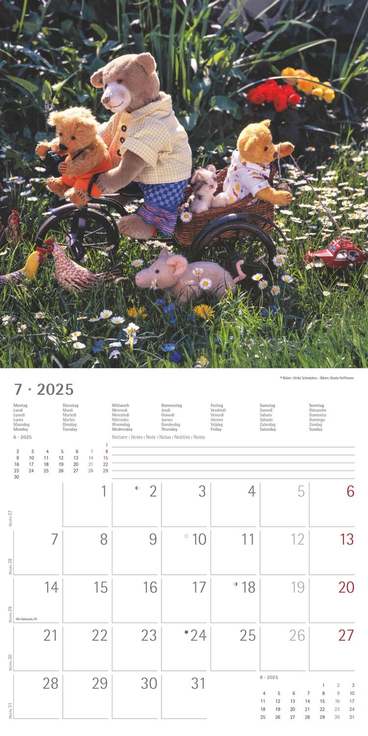 Bild: 4251732340643 | Teddy 2025 - Broschürenkalender 30x30 cm (30x60 geöffnet) -...
