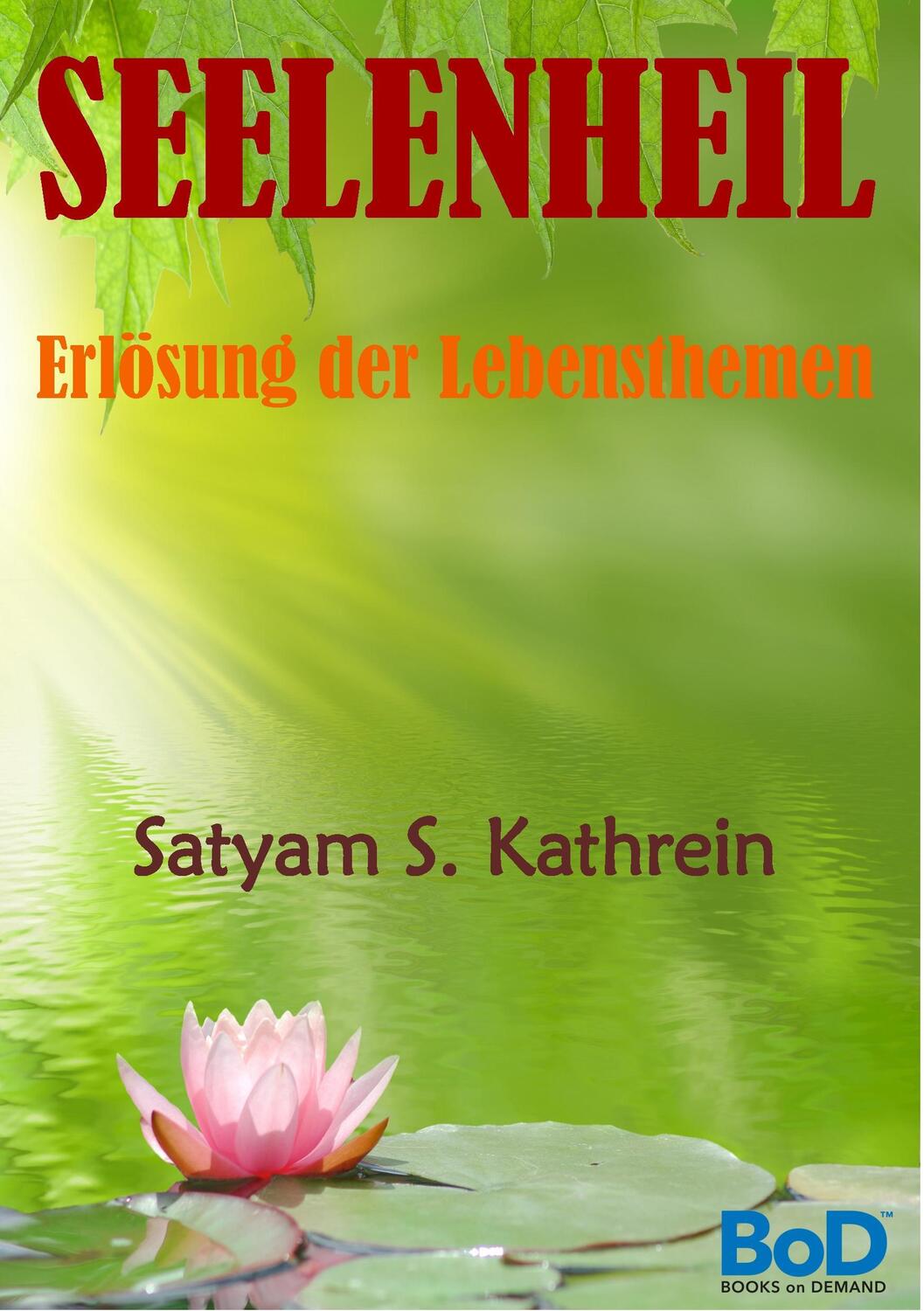 Cover: 9783732296767 | Seelenheil | Erlösung der Lebensthemen | Satyam S. Kathrein | Buch