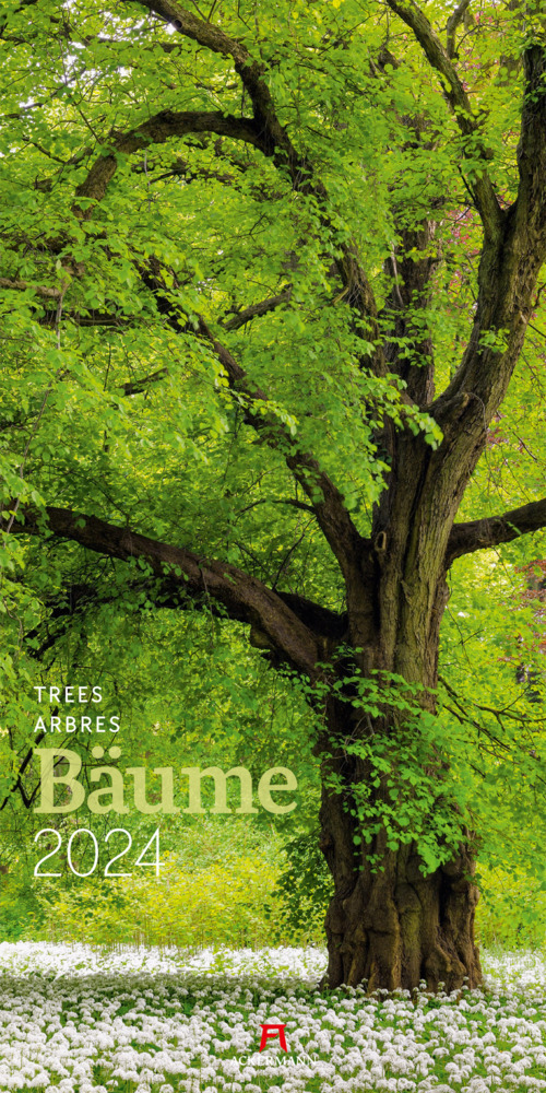 Cover: 9783838424200 | Bäume Kalender 2024 | Ackermann Kunstverlag | Kalender | Spiralbindung