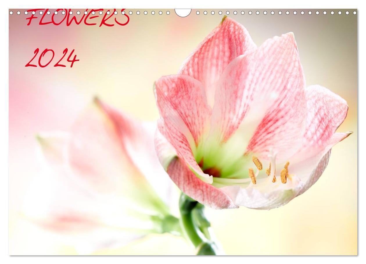 Cover: 9783383560897 | Flowers / 2024 (Wandkalender 2024 DIN A3 quer), CALVENDO...