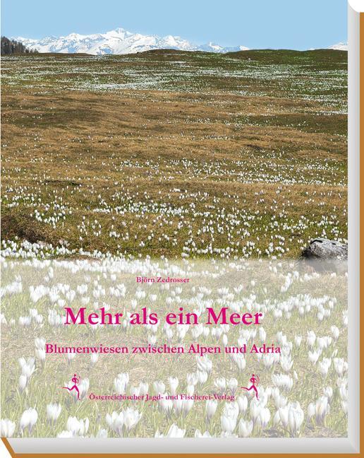 Cover: 9783852081595 | Mehr als ein Meer | Blumenwiesen zwischen Alpen und Adria | Zedrosser