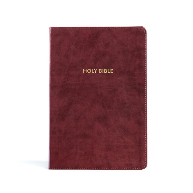 Cover: 9781087782744 | KJV Rainbow Study Bible, Burgundy Leathertouch, Indexed | Publishers