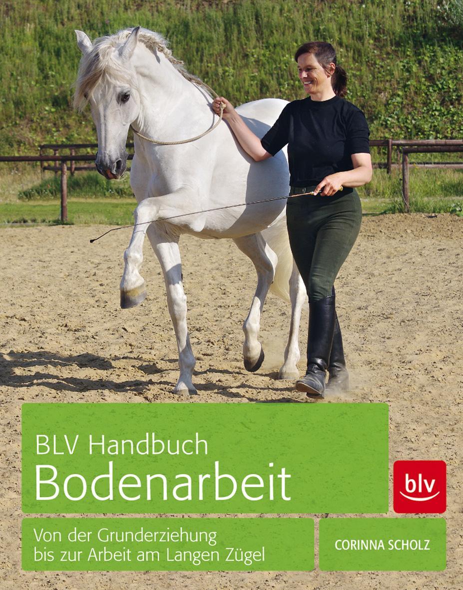 Cover: 9783835412446 | BLV Handbuch Bodenarbeit | Corinna Scholz | Buch | 176 S. | Deutsch
