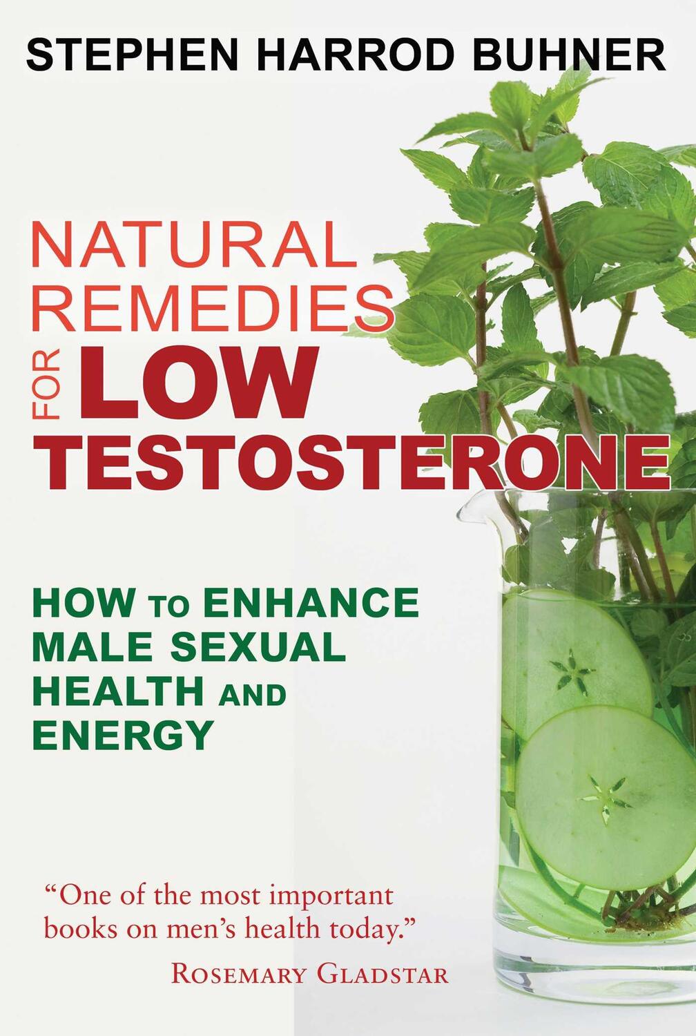 Cover: 9781620555040 | Natural Remedies for Low Testosterone | Stephen Harrod Buhner | Buch