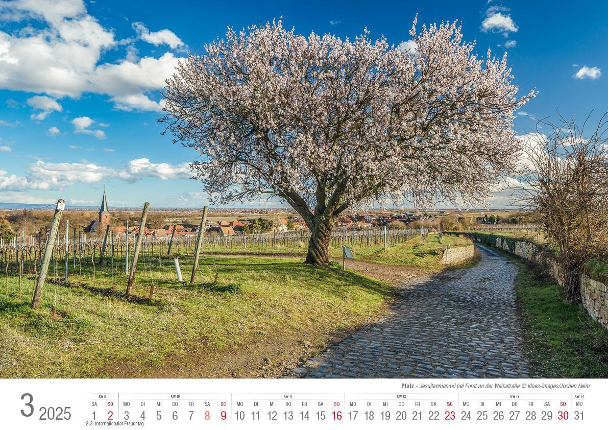 Bild: 9783965352384 | Die Pfalz 2025 Bildkalender A3 Spiralbindung | Holger Klaes | Kalender