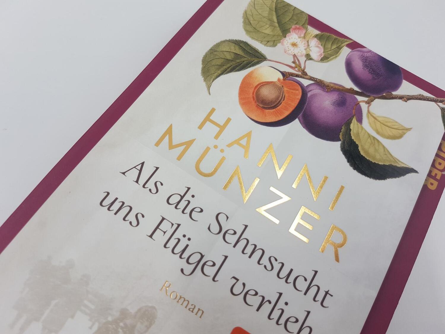 Bild: 9783492317436 | Als die Sehnsucht uns Flügel verlieh | Hanni Münzer | Taschenbuch