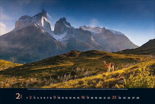 Bild: 9783731880073 | Wilde Tiere - weite Landschaft 2025 | Verlag Korsch | Kalender | 14 S.