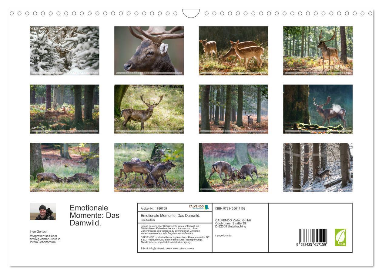 Bild: 9783435617159 | Emotionale Momente: Das Damwild. (Wandkalender 2025 DIN A3 quer),...