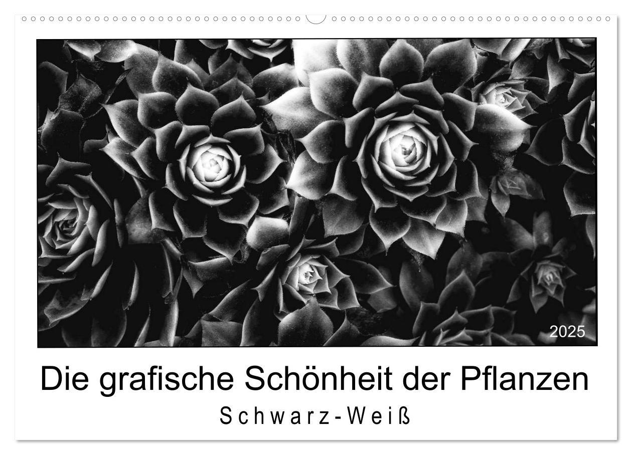 Cover: 9783435440092 | Die grafische Schönheit der Pflanzen ¿ Schwarz-Weiß (Wandkalender...