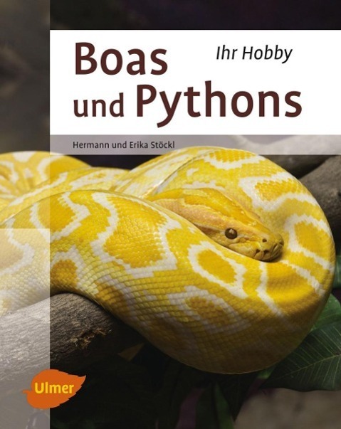 Cover: 9783800182862 | Boas und Pythons | Erika Stöckl (u. a.) | Buch | Deutsch | 2014