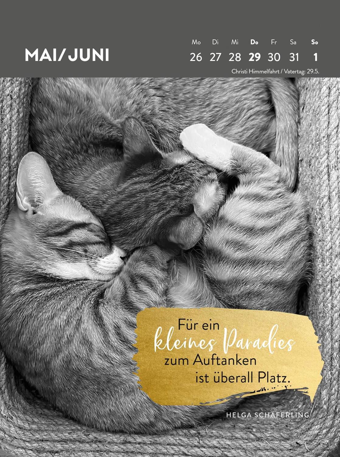 Bild: 4036442012116 | Wochenkalender 2025: Goldene Katzenweisheiten für jeden Tag | Verlag