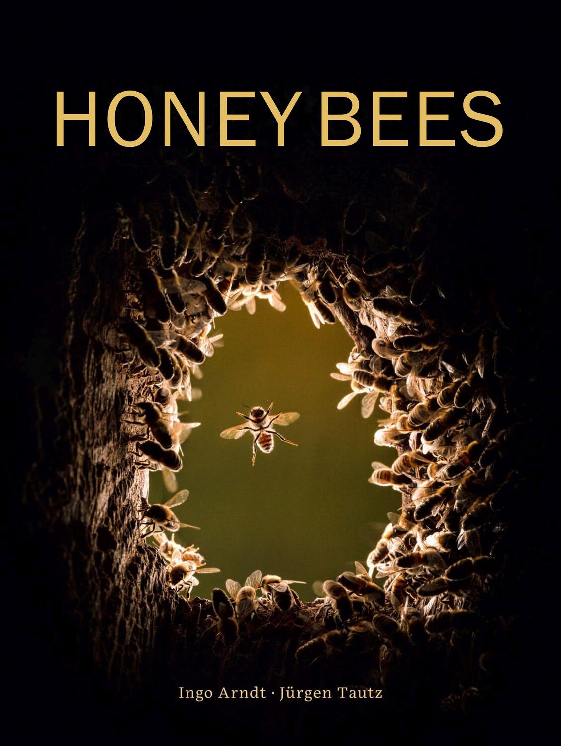 Cover: 9780565095277 | Honey Bees | Jurgen Tautz | Buch | Englisch | 2021 | EAN 9780565095277