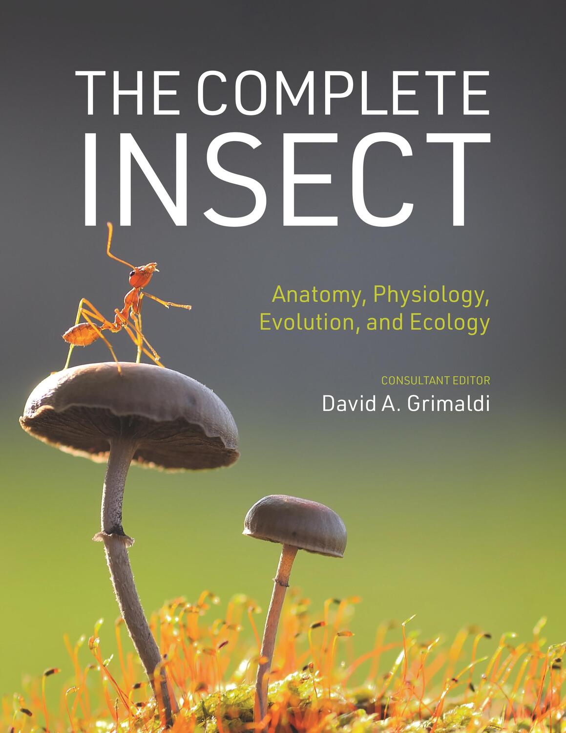 Cover: 9780691243108 | The Complete Insect | Anatomy, Physiology, Evolution, and Ecology