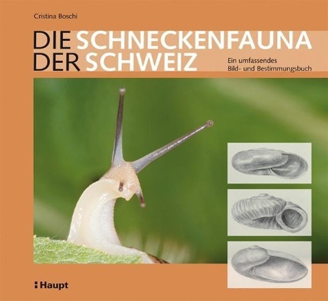 Cover: 9783258076973 | Die Schneckenfauna der Schweiz | Cristina Boschi | Buch | Deutsch