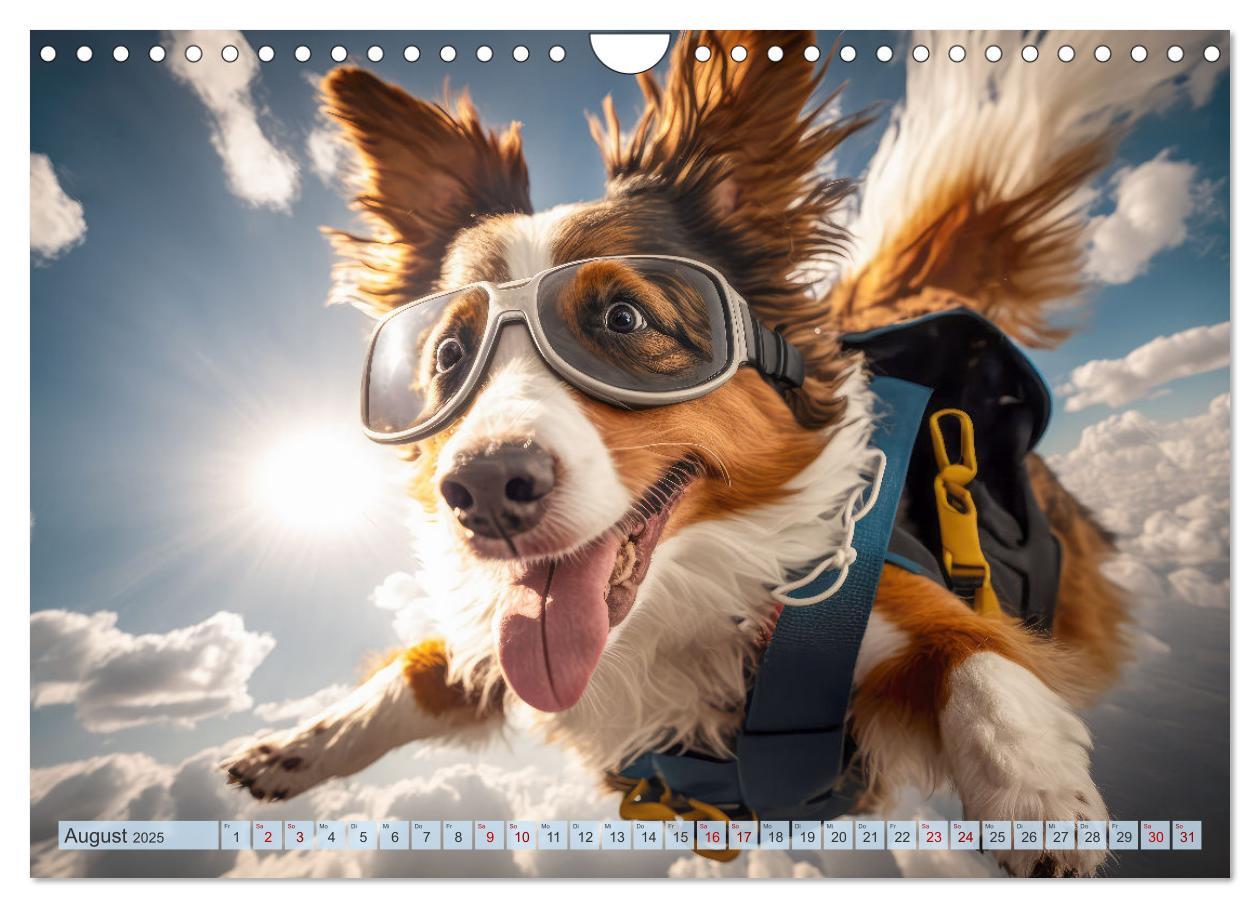 Bild: 9783383867149 | Hunde Skydiving (Wandkalender 2025 DIN A4 quer), CALVENDO...