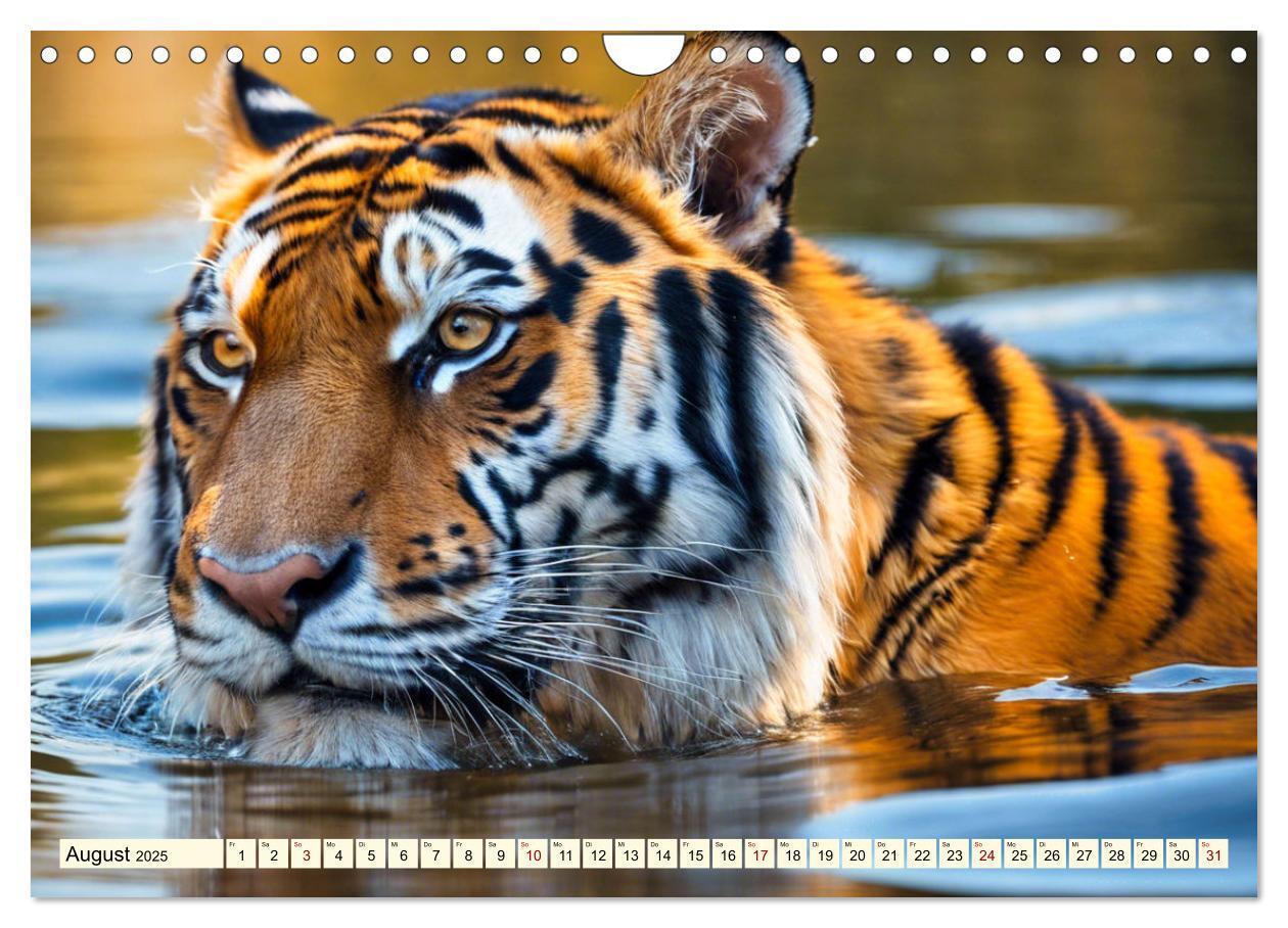 Bild: 9783383814105 | Tiger ganz nah (Wandkalender 2025 DIN A4 quer), CALVENDO...