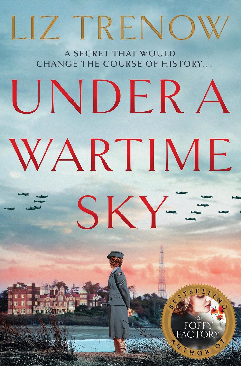 Cover: 9781509879847 | Under a Wartime Sky | Liz Trenow | Taschenbuch | Englisch | 2020