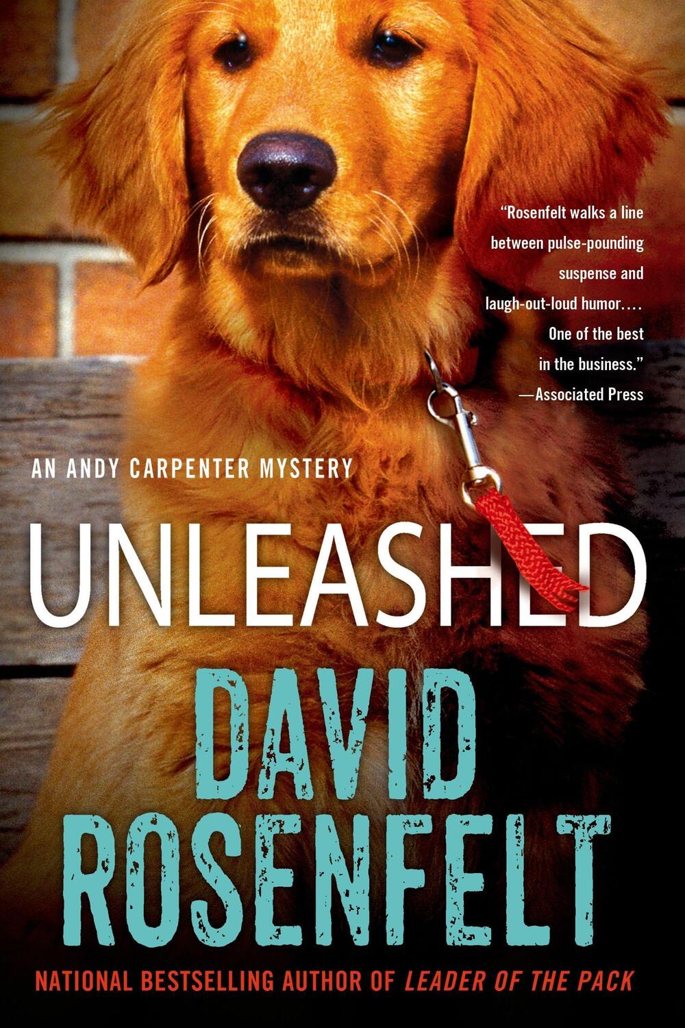 Cover: 9781250048974 | Unleashed: An Andy Carpenter Mystery | David Rosenfelt | Taschenbuch