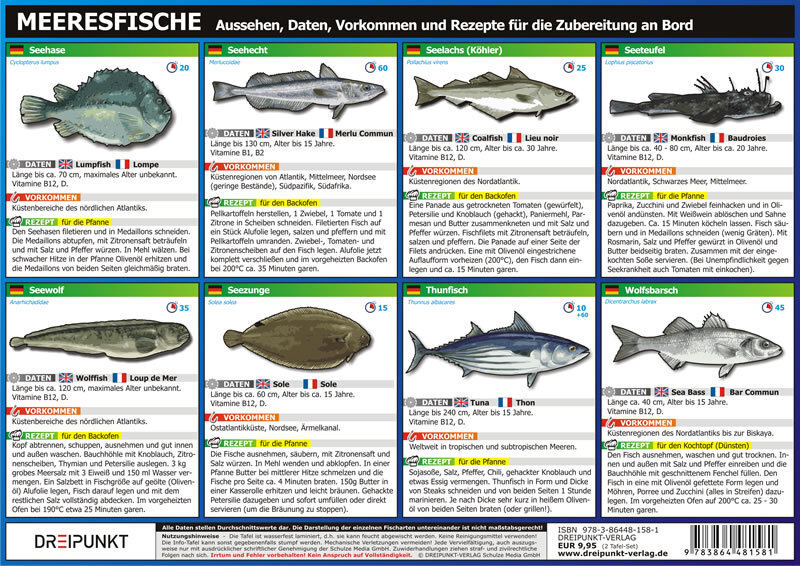 Bild: 9783864481581 | Info-Tafel-Set Meeresfische | Michael Schulze | Poster | Deutsch