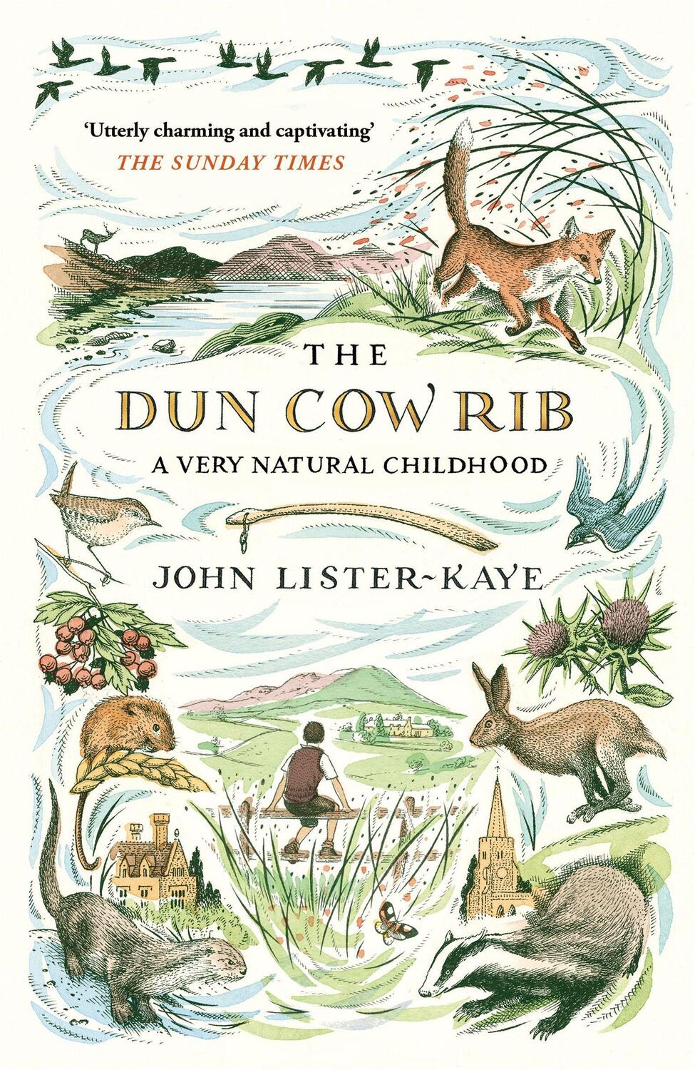Cover: 9781786891471 | The Dun Cow Rib | A Very Natural Childhood | John Lister-Kaye | Buch