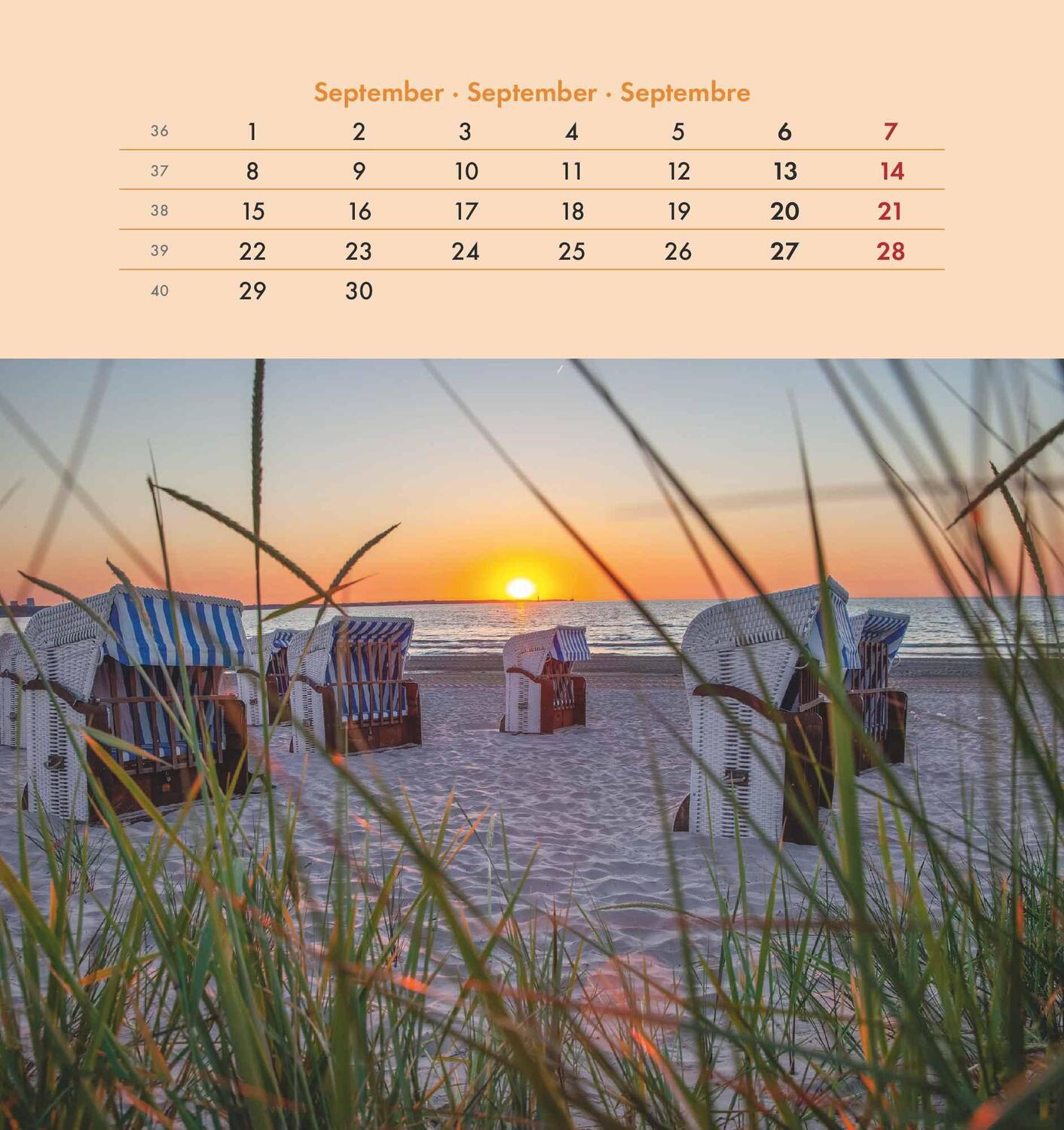 Bild: 4251732342333 | Seeblick 2025 - Postkartenkalender 16x17 cm - Sea View - zum...