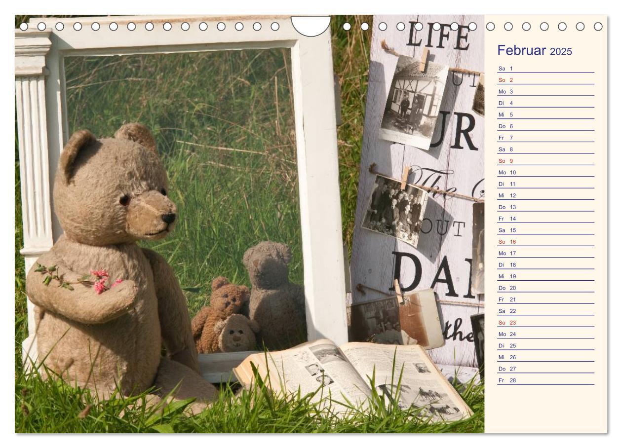 Bild: 9783435508235 | Geliebte Bären - Teddys (Wandkalender 2025 DIN A4 quer), CALVENDO...