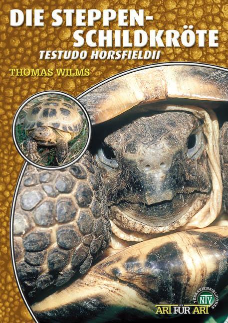Cover: 9783937285221 | Steppenschildkröte | Testudo horsfildii | Thomas Wilms | Taschenbuch