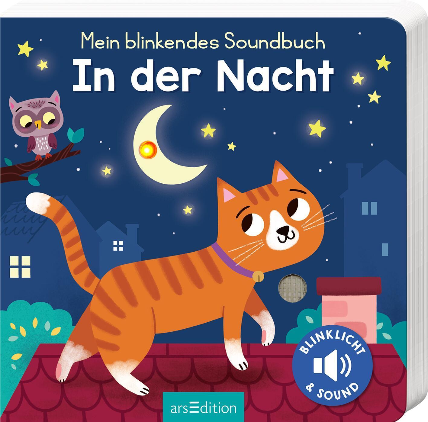 Cover: 9783845852447 | Mein blinkendes Soundbuch - In der Nacht | Sound mit 1 LED | Buch
