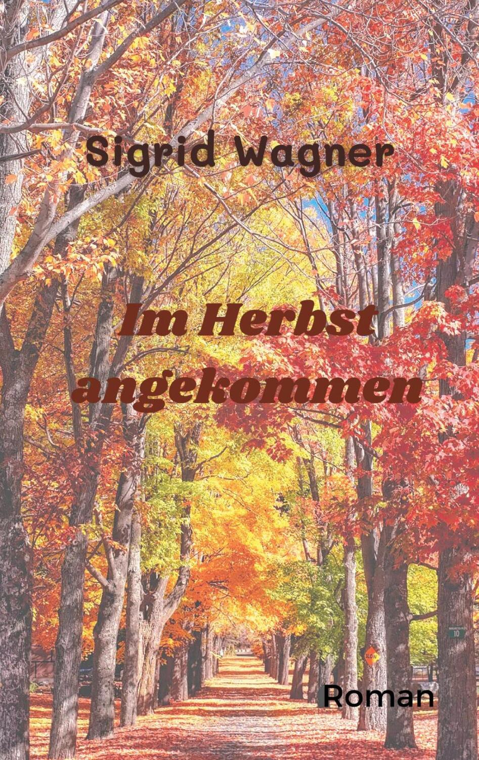 Cover: 9783757860783 | Im Herbst angekommen | So war das nicht gedacht | Sigrid Wagner | Buch