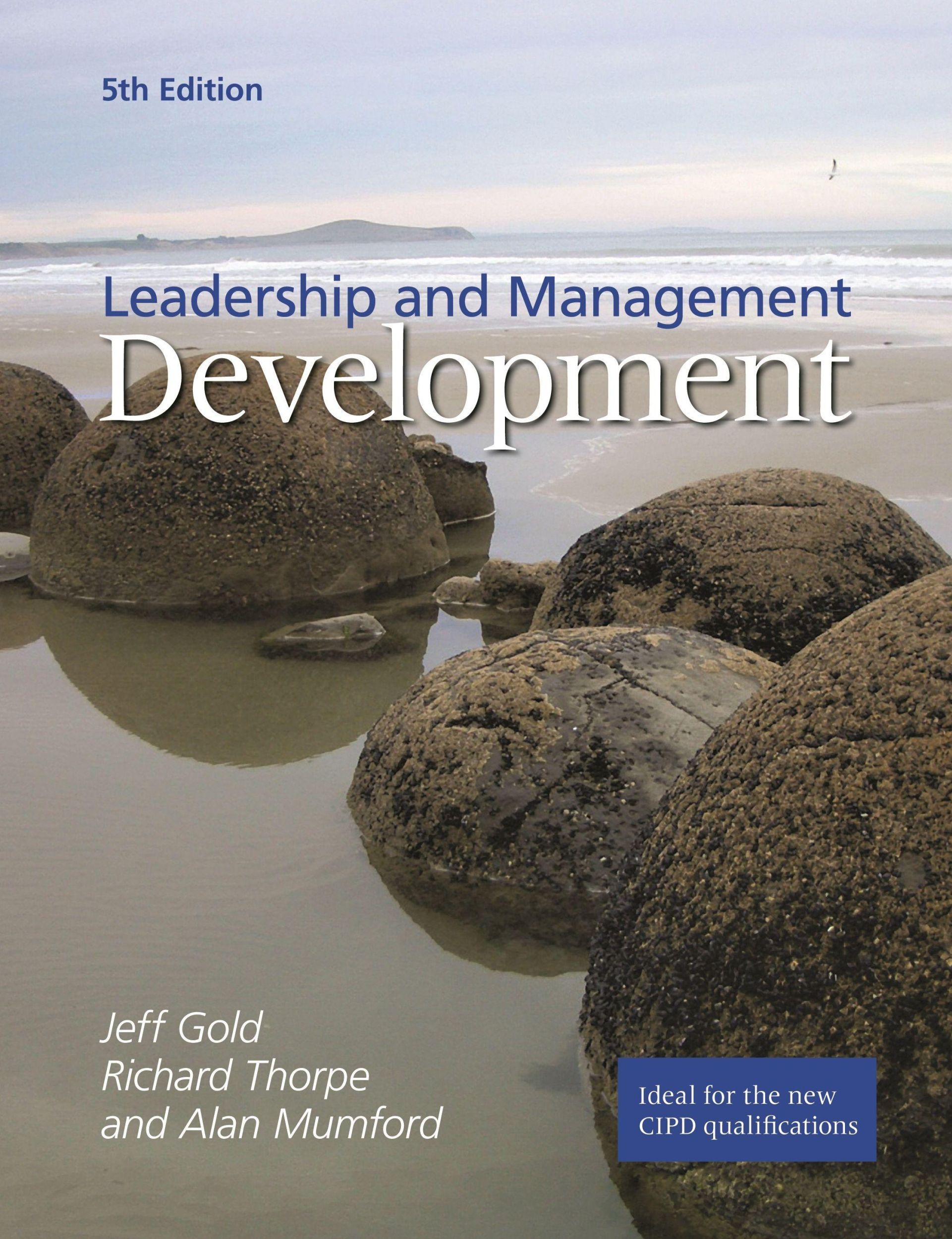 Cover: 9781843982449 | Leadership and Management Development | Strategies for Action | Buch