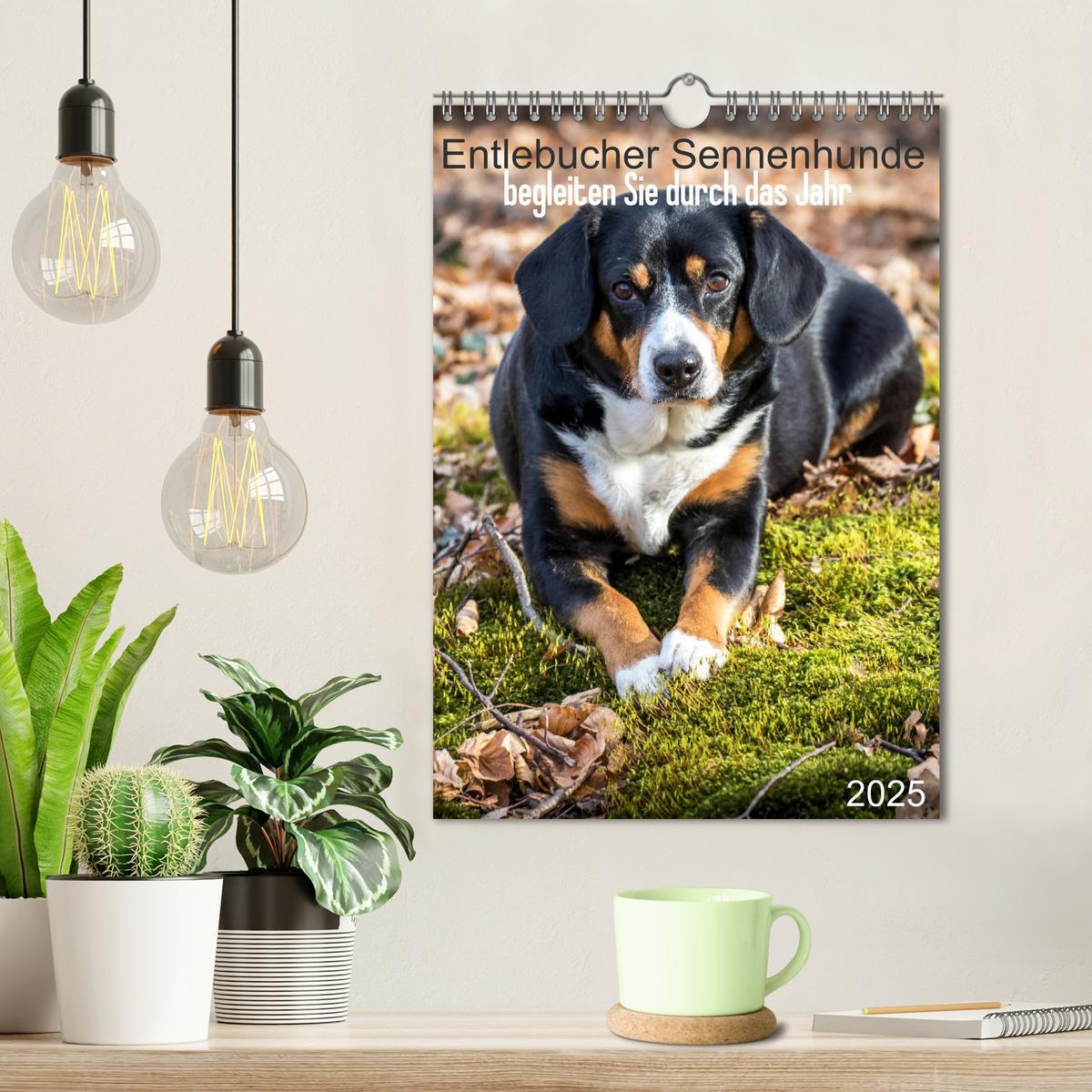 Bild: 9783457026694 | Entlebucher Sennenhunde begleiten Sie durch das Jahr (Wandkalender...