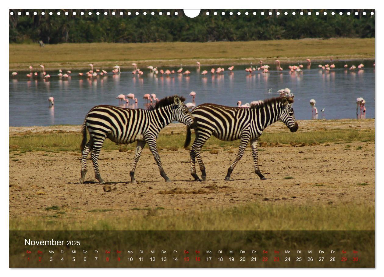 Bild: 9783435093427 | Ostafrika - Tansania und Kenia hautnah (Wandkalender 2025 DIN A3...