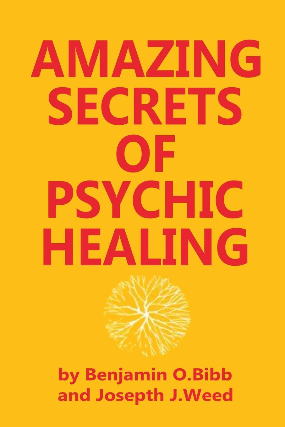 Cover: 9780130237620 | Amazing Secrets of Psychic Healing | Joseph J. Weed | Taschenbuch