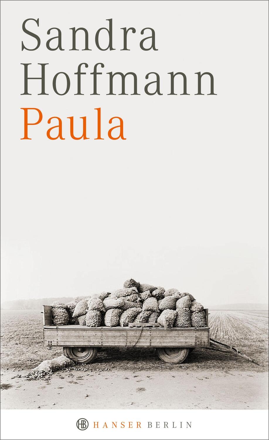 Cover: 9783446256828 | Paula | Sandra Hoffmann | Buch | 160 S. | Deutsch | 2017
