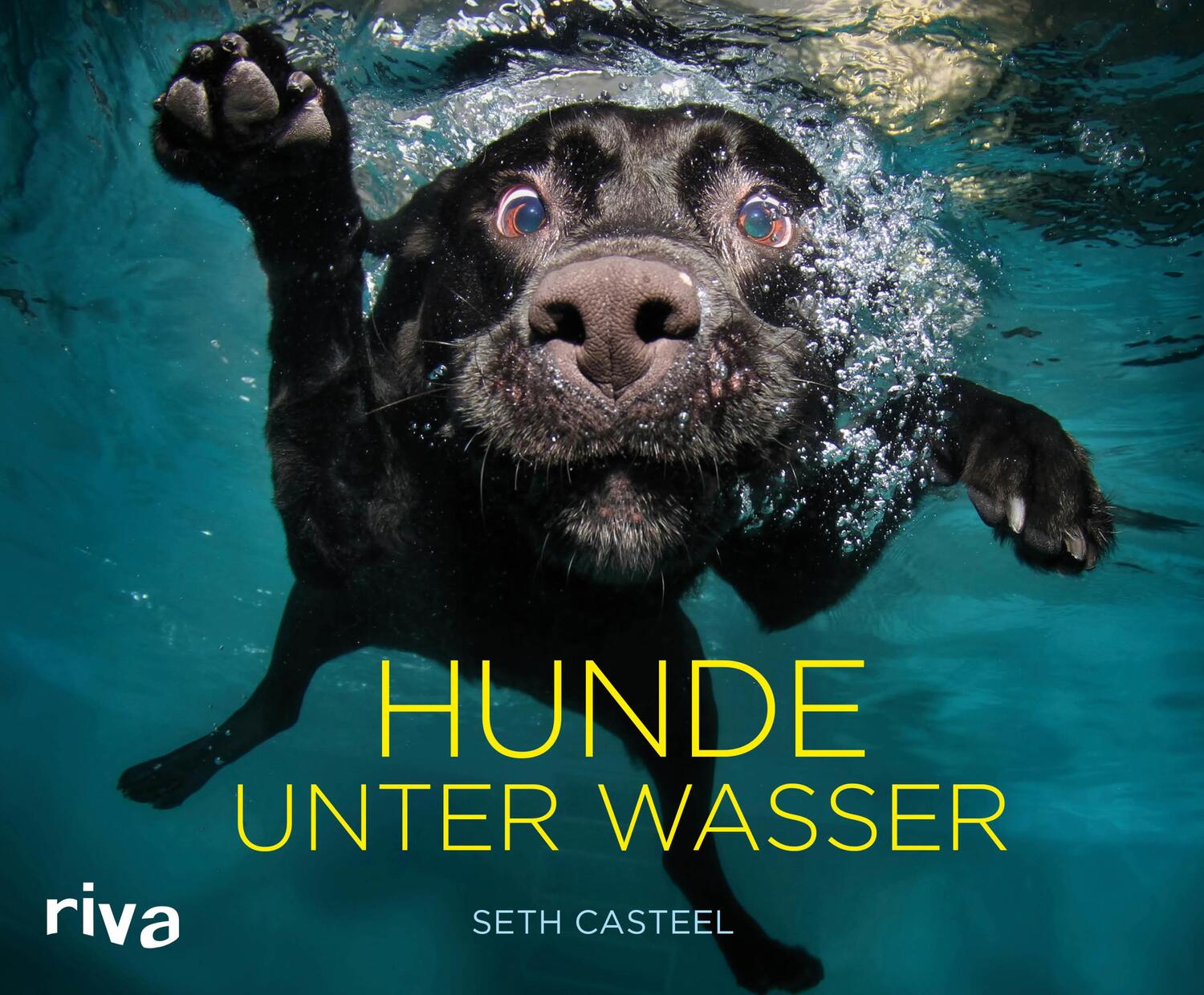 Cover: 9783742311740 | Hunde unter Wasser | Seth Casteel | Buch | Deutsch | 2019 | riva