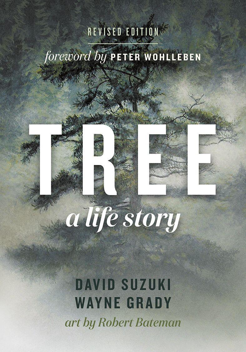 Cover: 9781771644198 | Tree: A Life Story | David Suzuki (u. a.) | Taschenbuch | Englisch