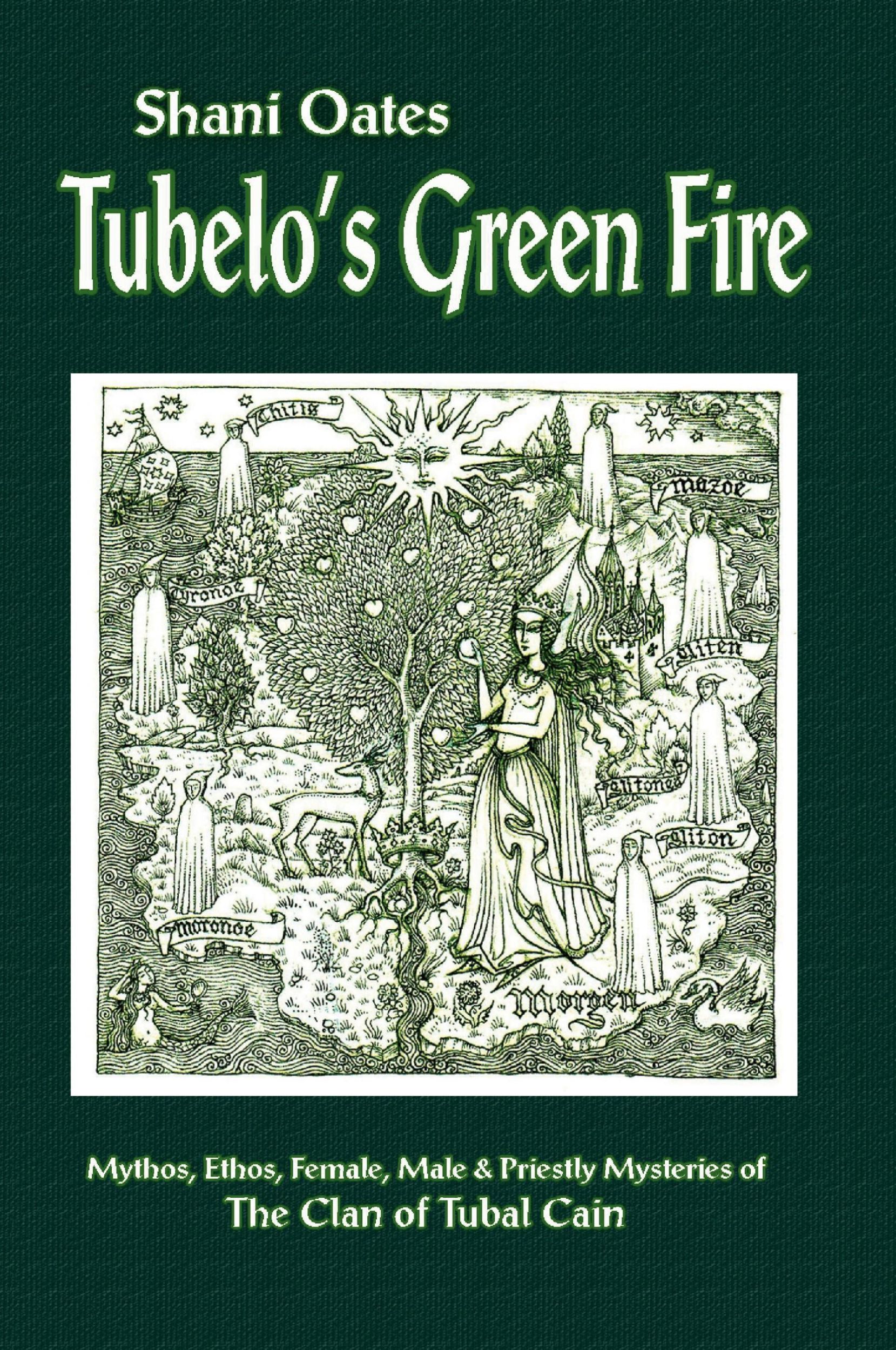 Cover: 9781906958077 | Tubelo's Green Fire | Shani Oates | Taschenbuch | Englisch | 2010