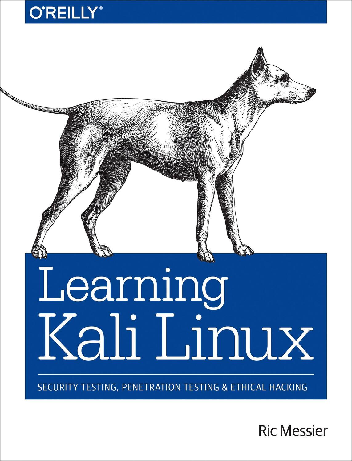 Cover: 9781492028697 | Learning Kali Linux | Ric Messier | Taschenbuch | Englisch | 2018
