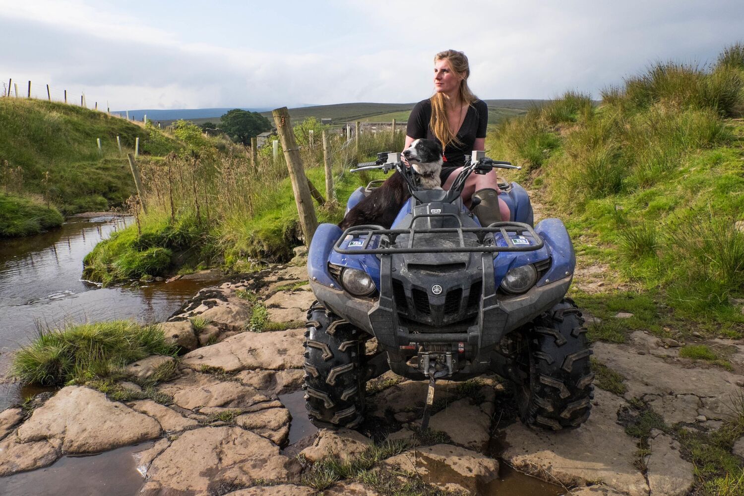 Autor: 9781509852697 | Adventures Of The Yorkshire Shepherdess | Amanda Owen | Taschenbuch