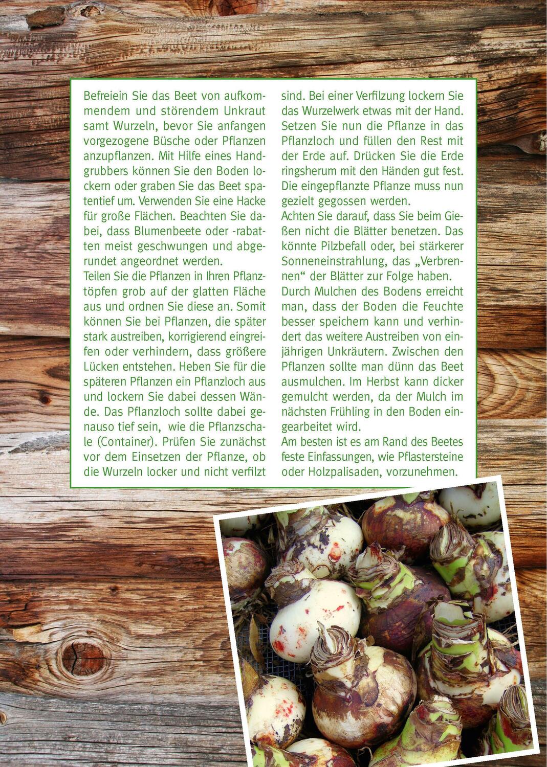 Bild: 9783961310647 | Mein Gartentagebuch für den Obst- und Gemüsegärtner | Taschenbuch
