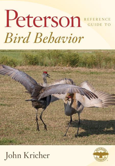 Cover: 9781328787361 | Peterson Reference Guide to Bird Behavior | John Kricher | Buch | 2020