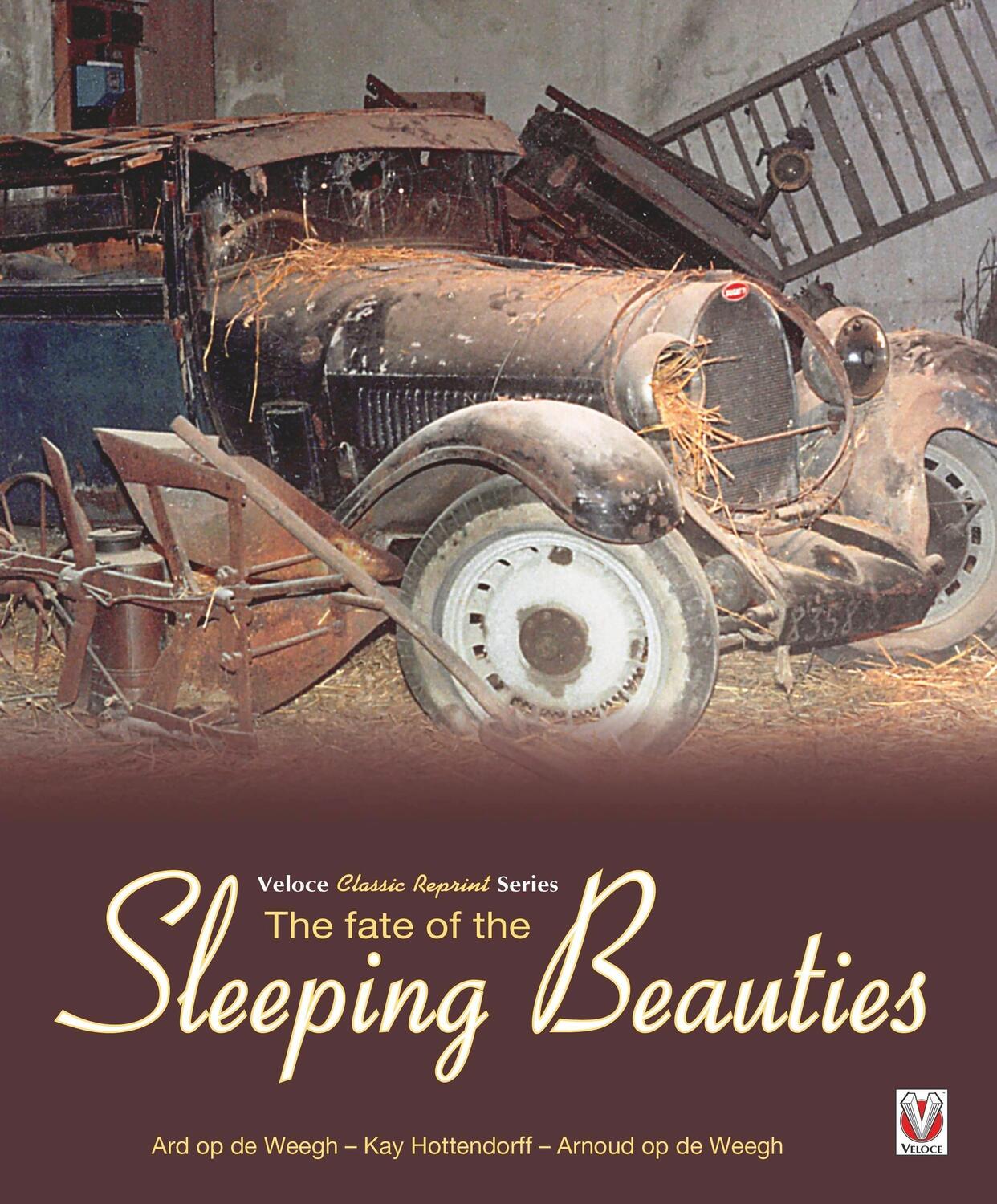 Cover: 9781787113336 | The Fate of the Sleeping Beauties | Ard Op De Weegh | Taschenbuch